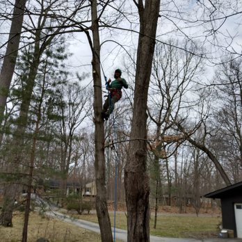 S & C Tree Service - Tree Services Near Me S & C Tree Service - Tree Services Near Me