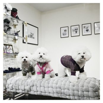 rororiri - Luxury cardigans for your furry babies - Pet Stores Near Me - San Francisco, California rororiri - Luxury cardigans for your furry babies - Pet Stores Near Me - San Francisco, California