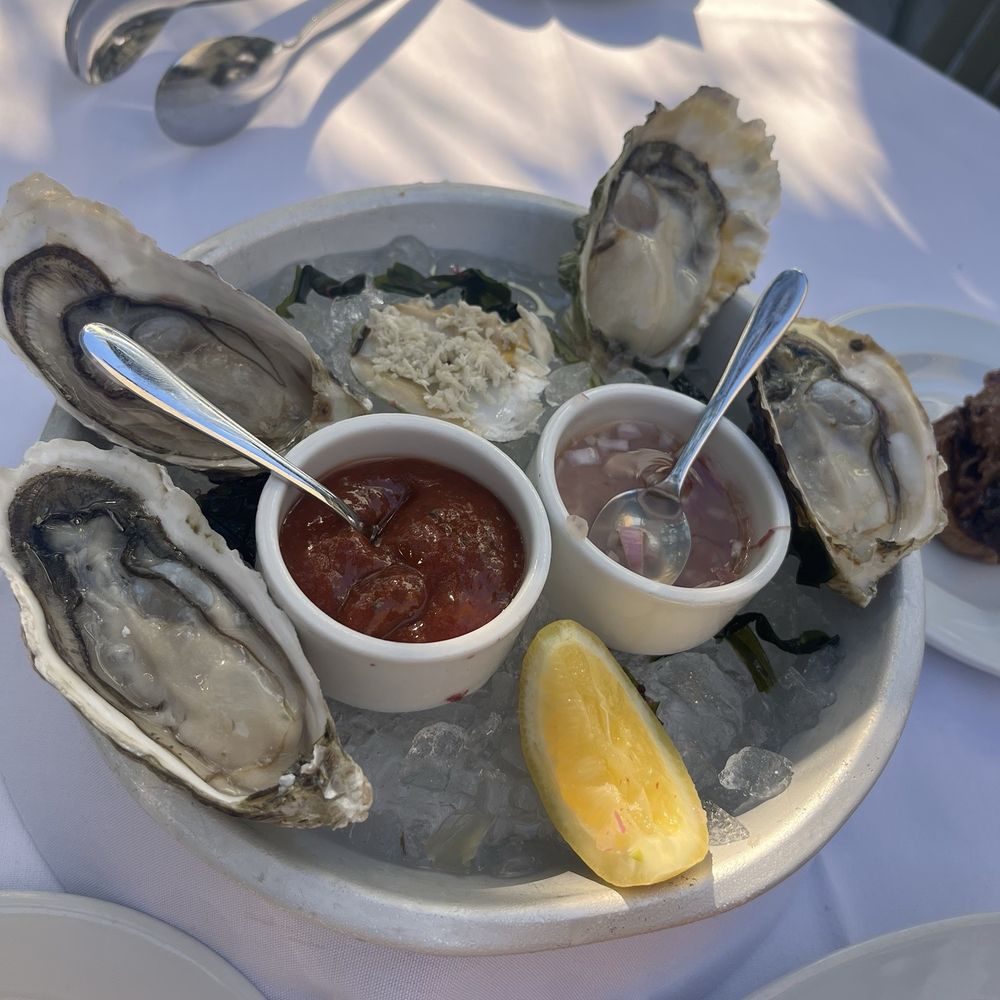 Oysters Oysters