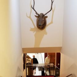 Elks Lodge No 2188 - Deer...?Elk...?it doesn't care anymore