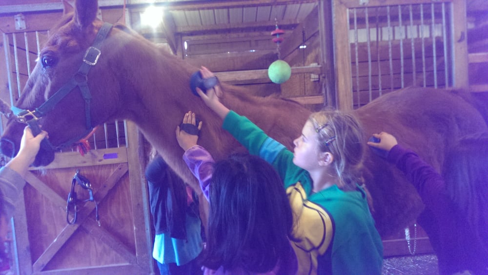 Sunset Knoll Riding Academy - equestrian in Big Rock, IL