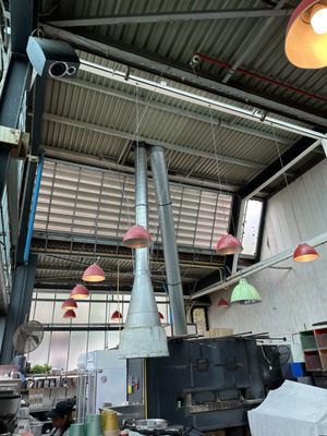 Best Ugly Bagels by null