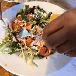 Copper Premium Pub - Grilled Salmon Salad