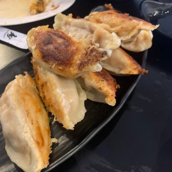 Dumpling King - Pork Fried Dumplings - Chinese Near Me - North Miami Beach, Florida Dumpling King - Pork Fried Dumplings - Chinese Near Me - North Miami Beach, Florida