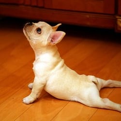 Romana's Pilates - You can do it too!
