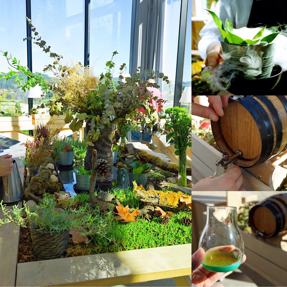 Azurmendi - Green house experience - Basque Near Me - Larrabetzu, BI