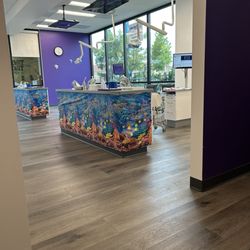 Tiny Teeth of the Bay Pediatric Dentistry