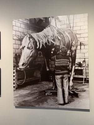 The Mustangs of Las Colinas Sculpture and Museum and Visitors Center by null