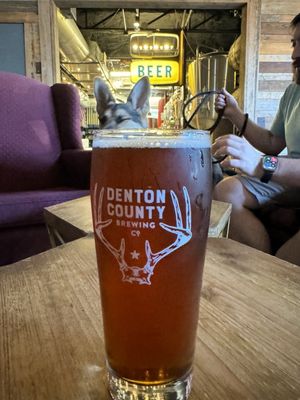 Denton County Brewing Company by null