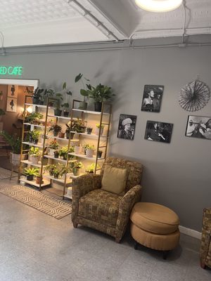 Seed Cafe and Espresso Bar by null