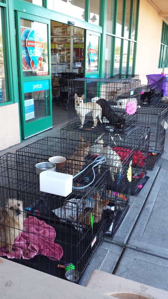 PETCO CLOSED 23 Photos & 30 Reviews Pet Stores 1631 W Craig Rd