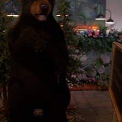 Forest Cafe - I know... crappy photo. But it's all I had.