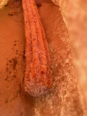 La Tingeria Alexandria by null