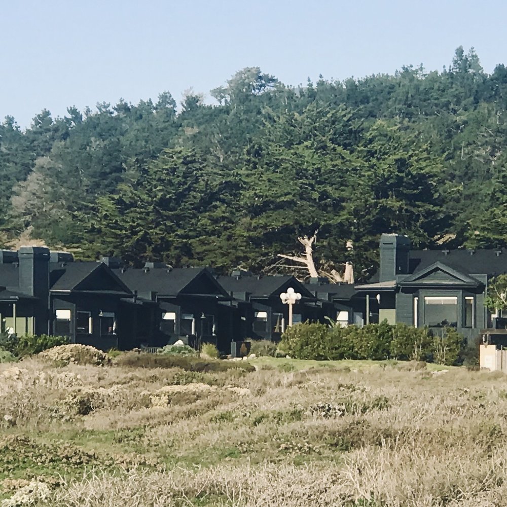 White Water - Very discreet black cabins that add to landscape - Hotels Near Me - Cambria, California White Water - Very discreet black cabins that add to landscape - Hotels Near Me - Cambria, California