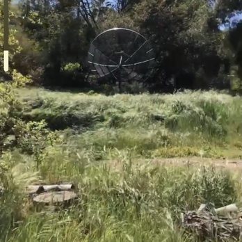 Pro Select Construction Services  - Before: Trash and junk haul, with tree removal and weed-whacking - General Contractors Near Me - Escondido, California