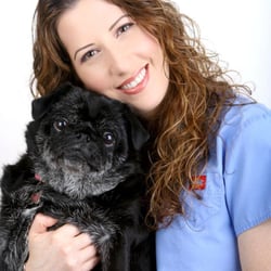Stockton Hill Animal Hospital