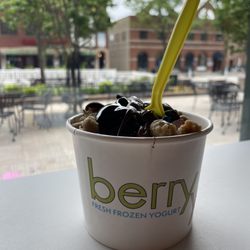 Berry Yo Frozen Yogurt