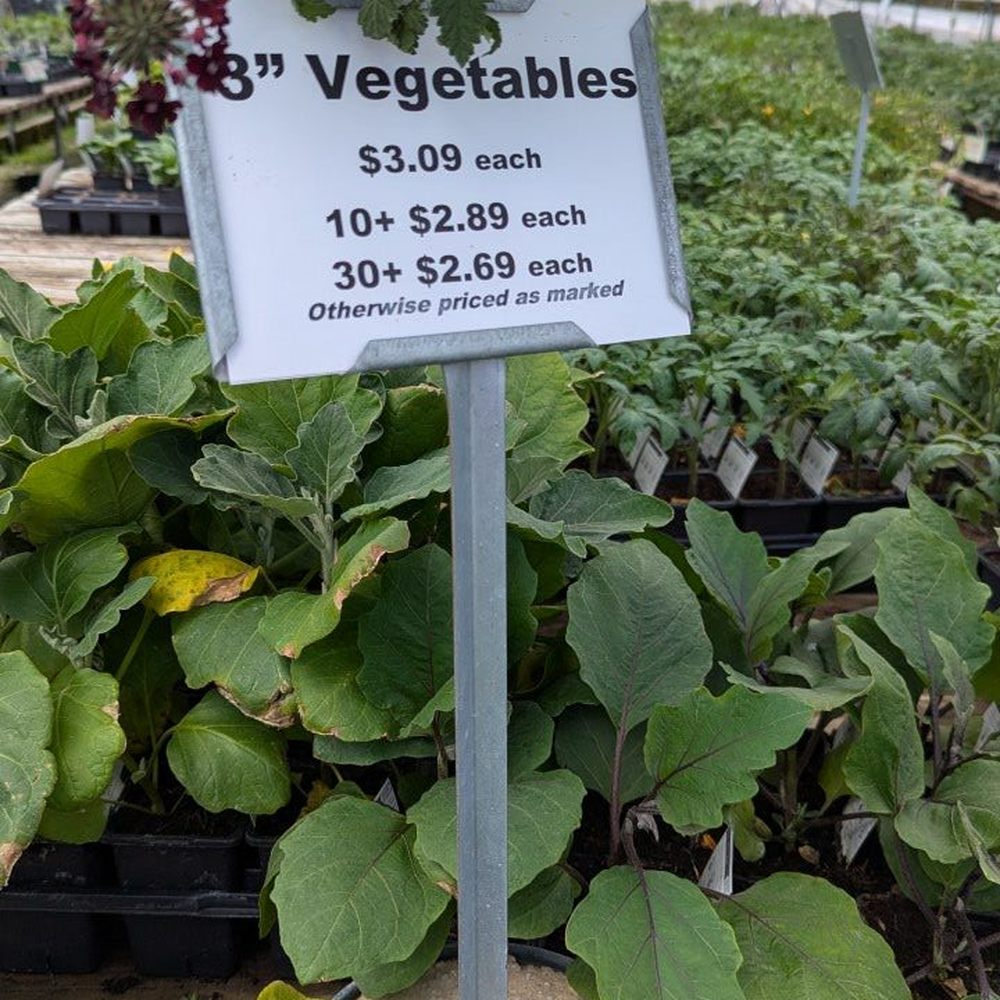 Some of the best vegetable prices we've seen this year Some of the best vegetable prices we've seen this year
