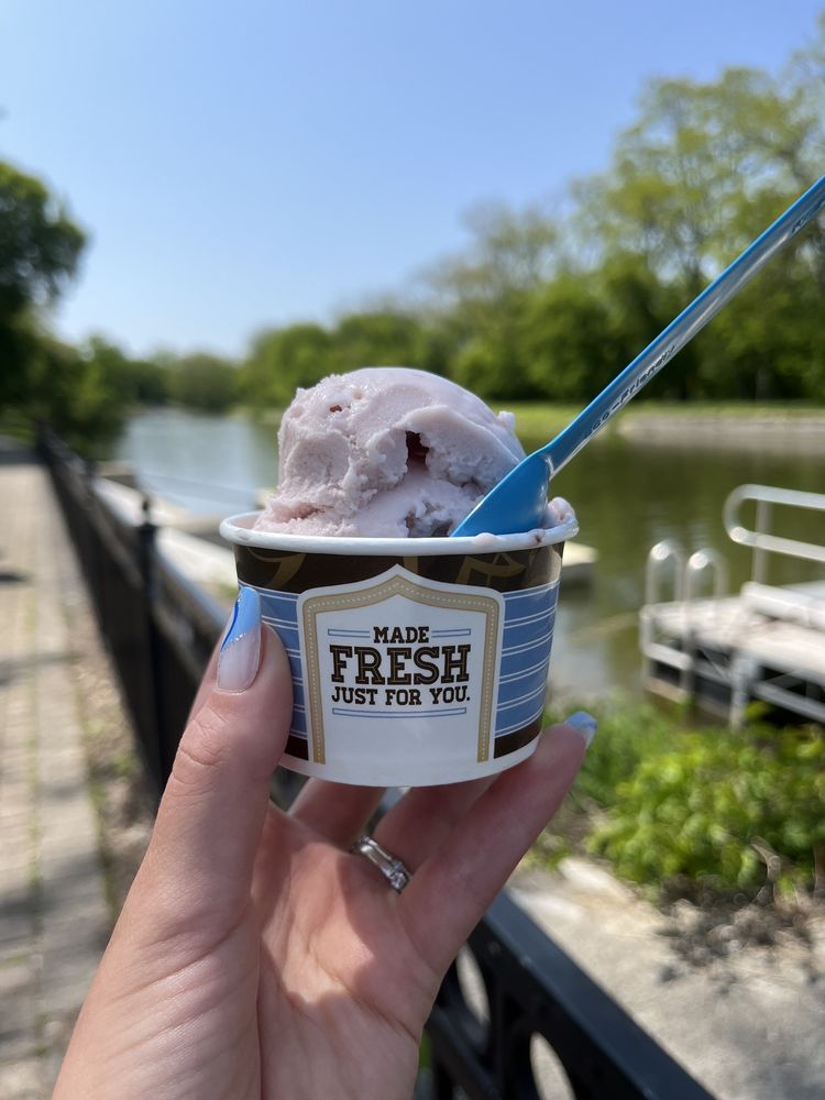 ABBOTT’S FROZEN CUSTARD Updated September 2024 42 Photos & 21