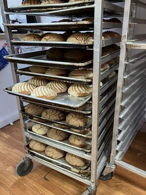 Guadalupana Bakery by null