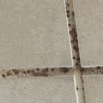 Pilot Travel Center - Black mold - Gas Stations Near Me - Winona, Mississippi