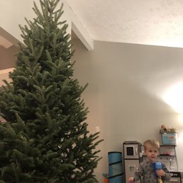 This may be a little bit for our house. This may be a little bit for our house.