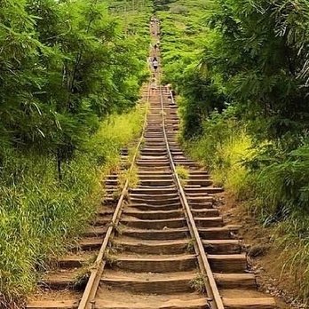 Koko Crater Trail - Railway up approx. 1,000 steps! - Hiking Near Me - Honolulu, Hawaii