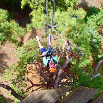 Ziplines at Pacific Crest - Ziplining Near Me - Wrightwood, California Ziplines at Pacific Crest - Ziplining Near Me - Wrightwood, California