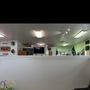Moto Cuts GP