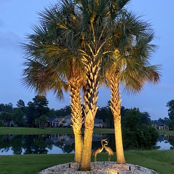 Black Bear Landscape Lighting - Landscaping and design - Lighting Fixtures & Equipment Near Me Black Bear Landscape Lighting - Landscaping and design - Lighting Fixtures & Equipment Near Me
