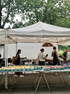 Portland Farmers' Market by null