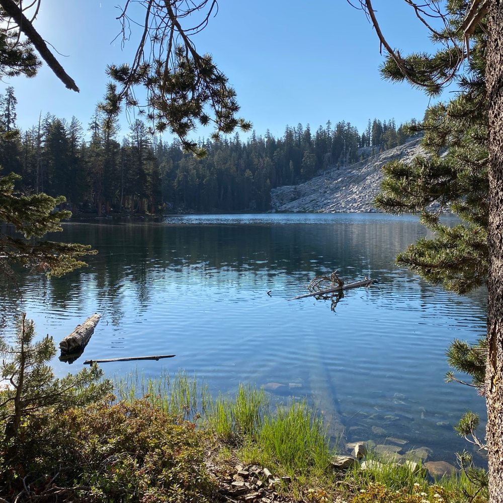 Jennie Lake - Swimming Pools Near Me - Dunlap, California