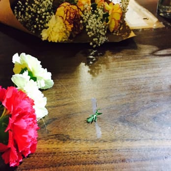 Pike Place Flowers - Carnations:) - Florists Near Me - Seattle, Washington Pike Place Flowers - Carnations:) - Florists Near Me - Seattle, Washington
