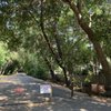 Lafayette-Moraga Regional Trail gift card