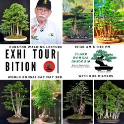 Clark Bonsai Museum - Exhibition bonsai garden tour May 3rd 2026.