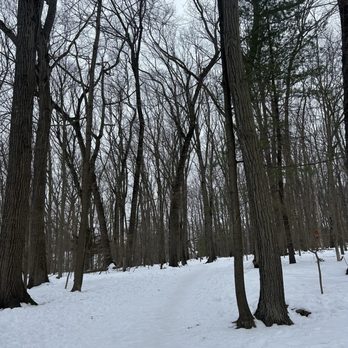 Centennial Park - Dog Parks Near Me - Wellesley, Massachusetts
