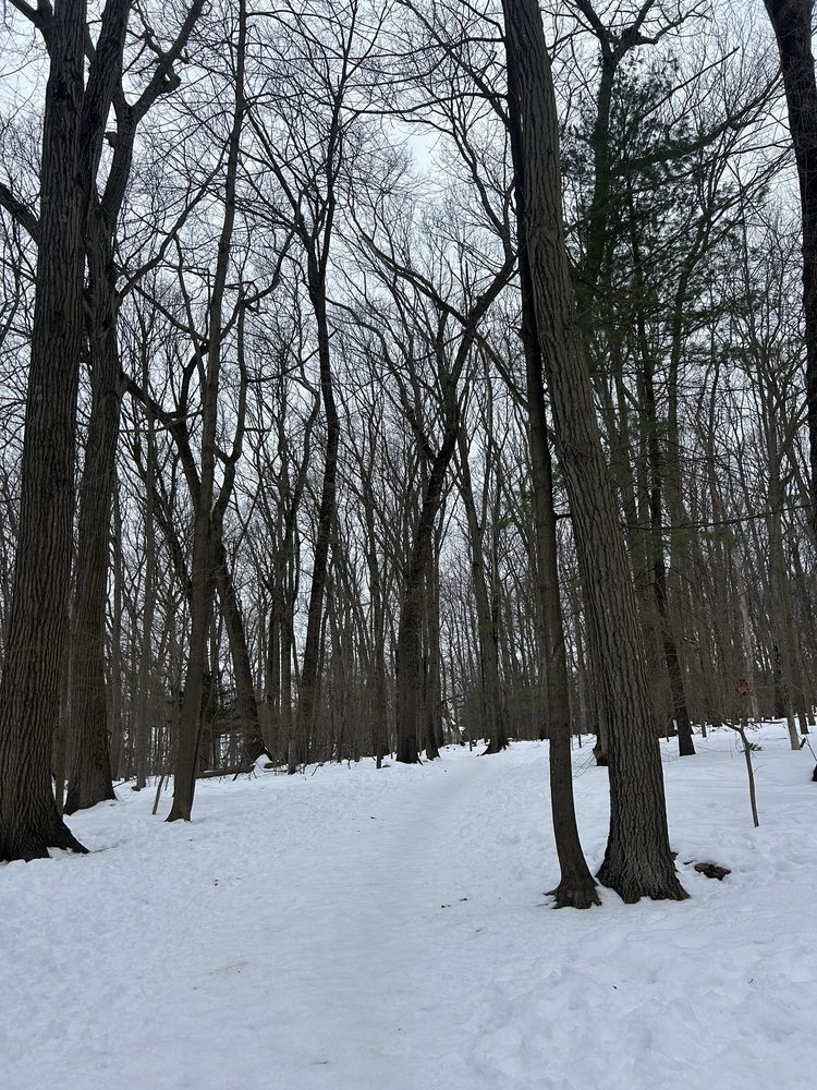 Social spots from Centennial Park