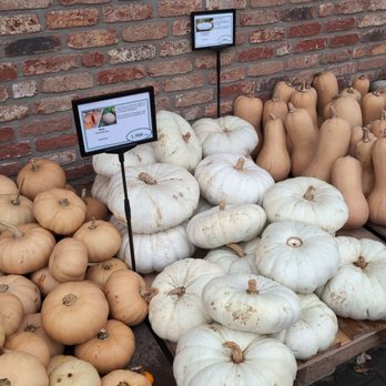 Hofladen Austermann - Fruits & Veggies Near Me - Warendorf, NW Hofladen Austermann - Fruits & Veggies Near Me - Warendorf, NW