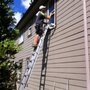 Photo of Pristine Property Maintenance
