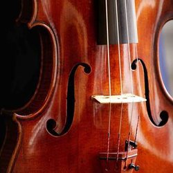 String Theory Violins