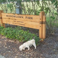 Meadowlawn Park