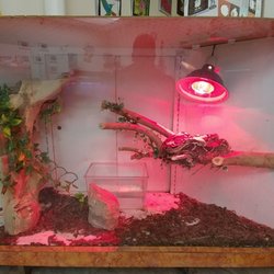 Schmidt's Pet's & More