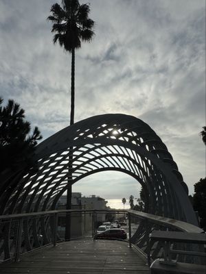 Tongva Park by null