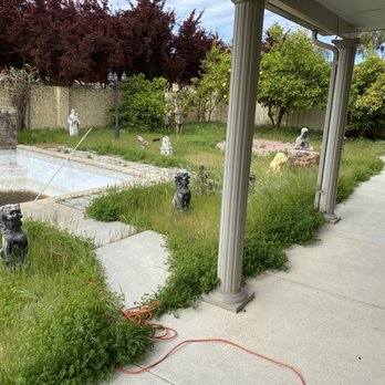 Hats Off Landscaping+ - Before, in the jungle - Landscaping Near Me - Stockton, California Hats Off Landscaping+ - Before, in the jungle - Landscaping Near Me - Stockton, California