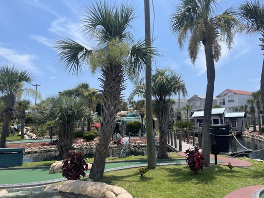 Black Pearl Mini Golf by null
