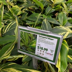 Jardina Garden Center