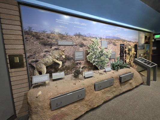 Lake Mead National Recreation Area by null