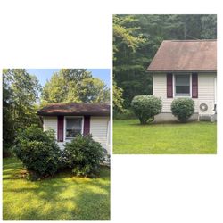 Cutting Edge Lawn Care