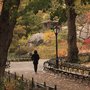 Photo of NYC Tours Then And Now