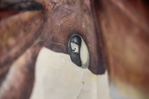 Santa Barbara Museum of Natural History by null